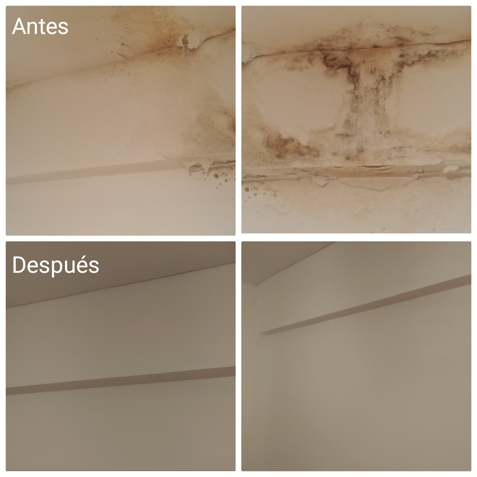 imagen-servicios